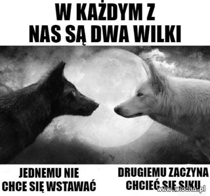 To takie prawdziwe 