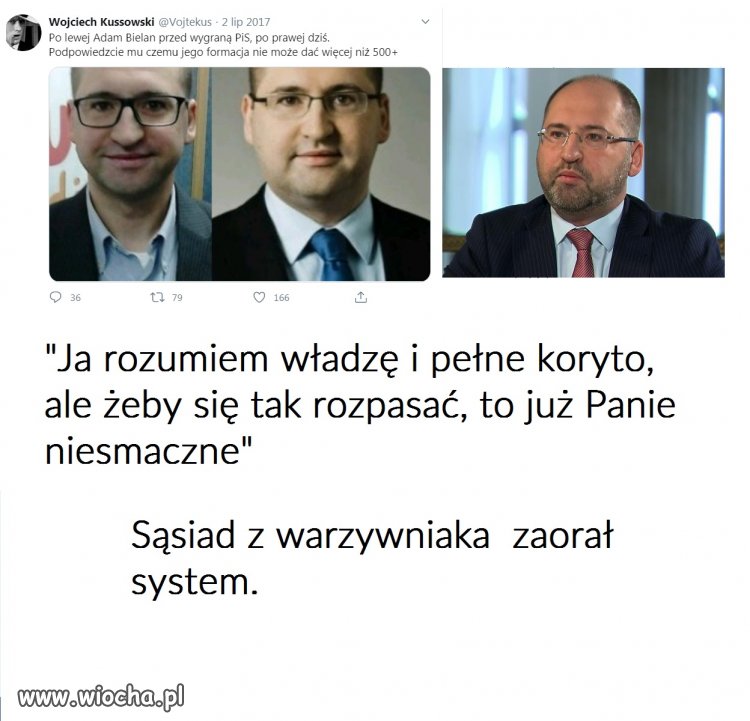 Sąsiad z Warzywniaka