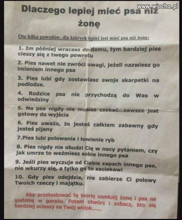 Dlaczego lepiej mieć psa niż żonę