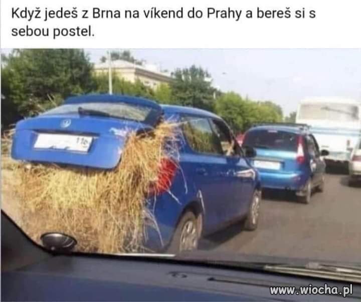 Czeskie memy to jest jedno wielkie ZŁOTO!