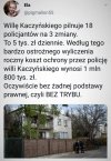 Psy kota pilnują. 