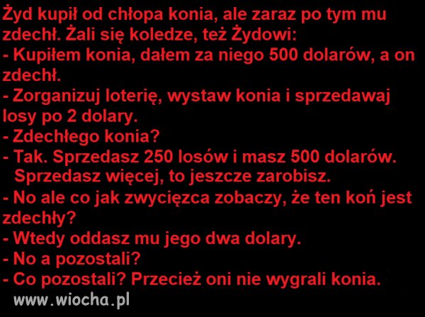 Loteria z koniem