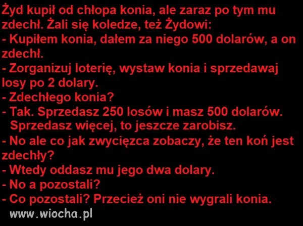 Loteria z koniem