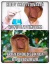 Koronabimber