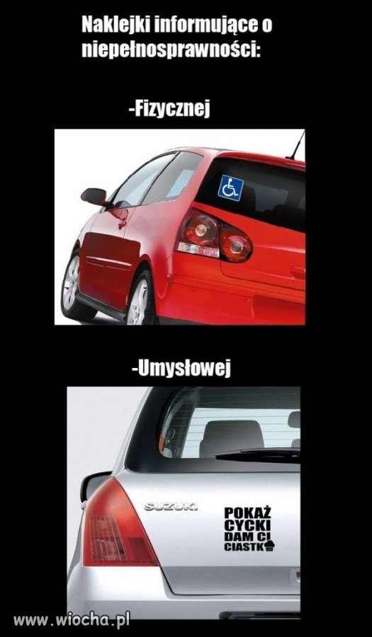 Coś w tym jest