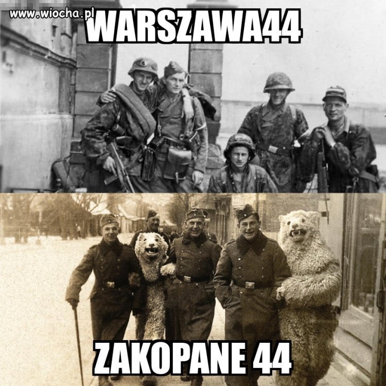 Zasadnicza różnica między sortami