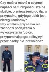 Teoria spiskowa