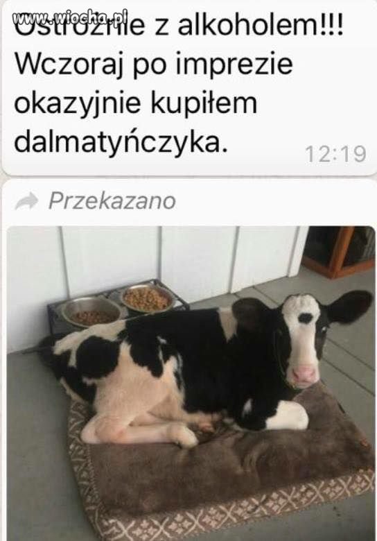 Okazyjnie