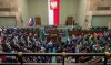 Świnie przy korycie
