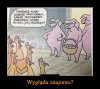 No cóż...