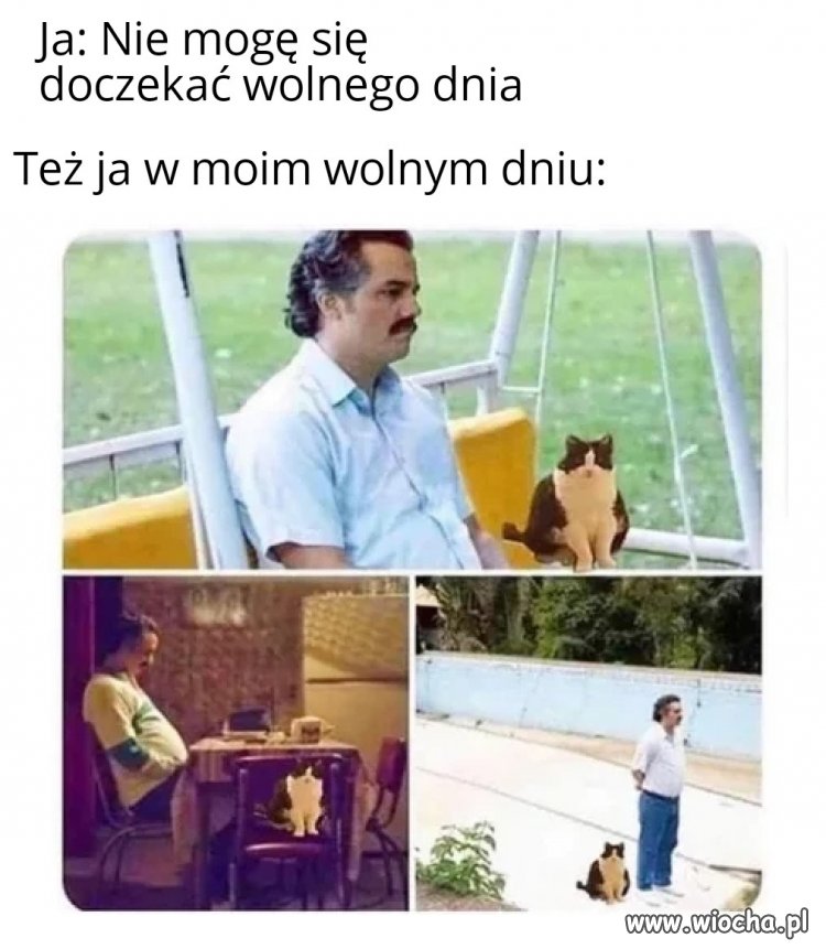 Praca,wolne,praca,wolne...