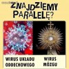 Wirusy 