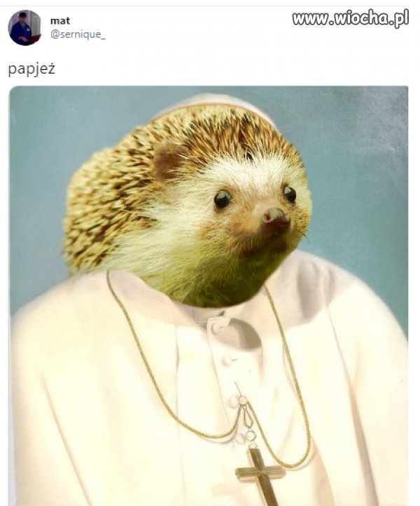 Czego to ludzie nie wymyślą?