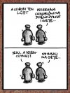 Tymczasem