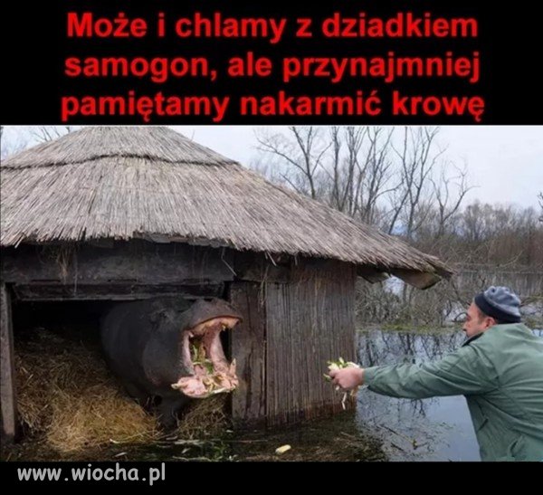 Odpowiedzialność