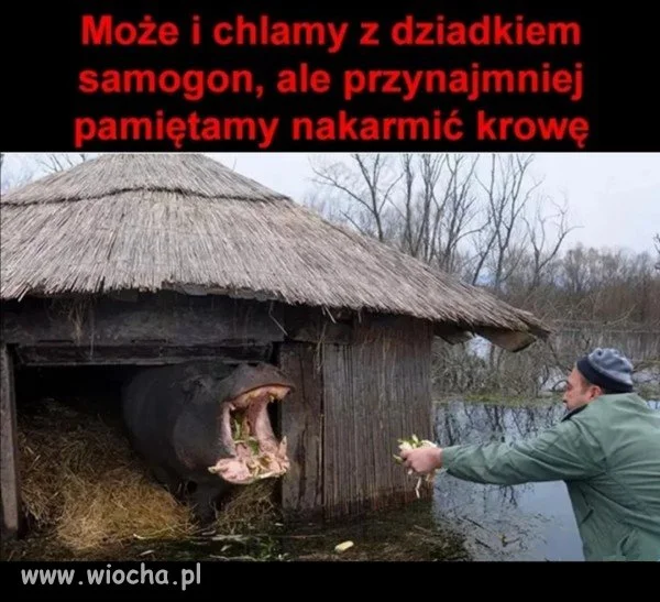 Odpowiedzialność