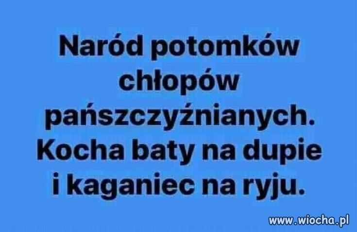 Policja bije