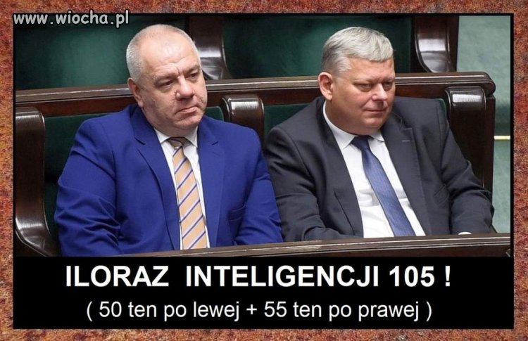 Iloraz