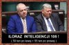 Iloraz