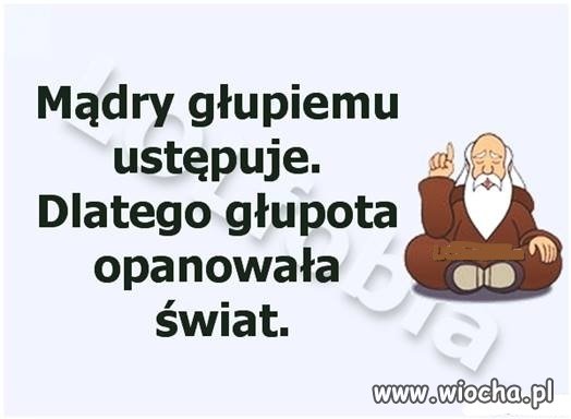 Nic dodać