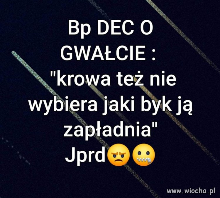 Bez komentarza 