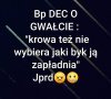 Bez komentarza 