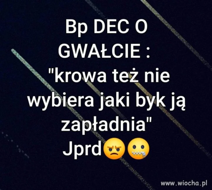Bez komentarza 