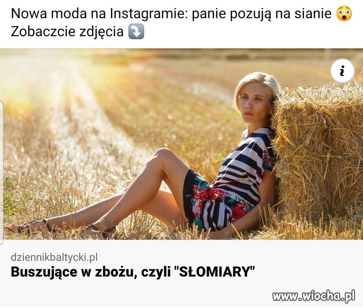 Coś w tym jest