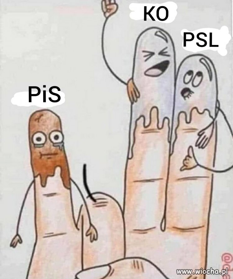 Polityka