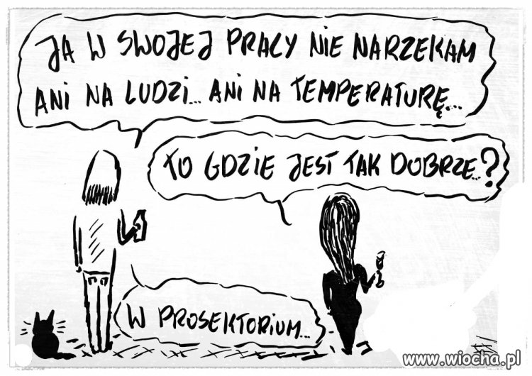 Niektórzy to mają szczęście
