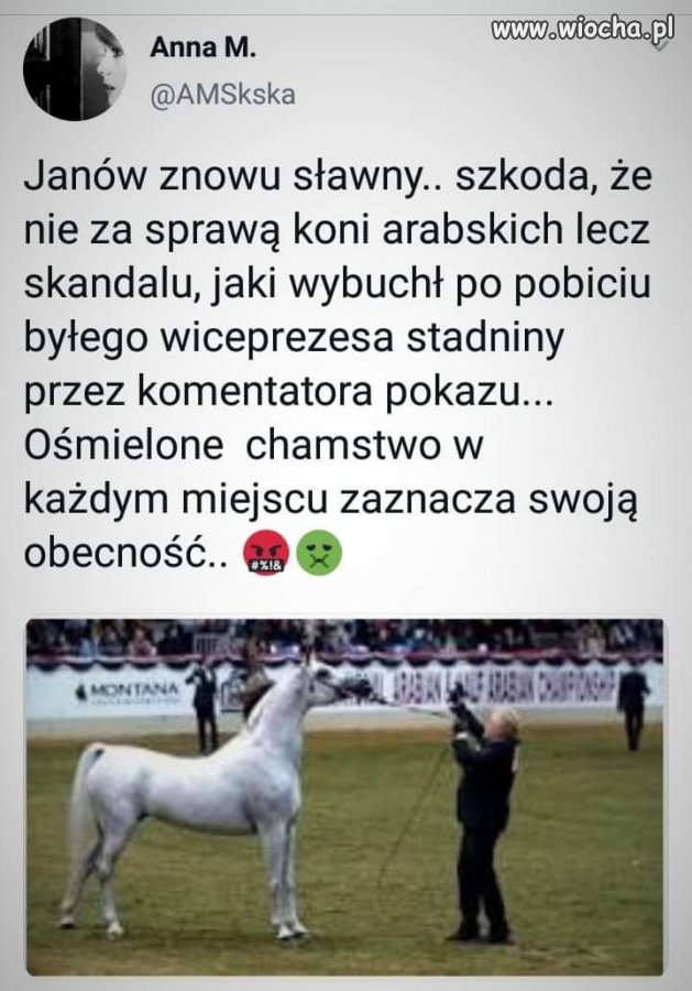 Janów 