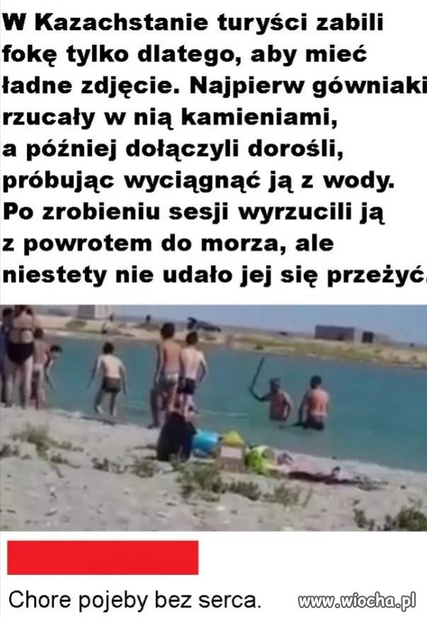 Turyści... 