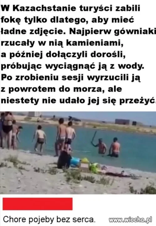 Turyści... 