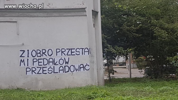 Pan Michał sz.