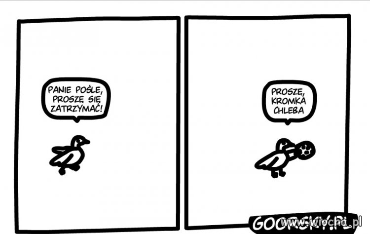 Panie pośle 