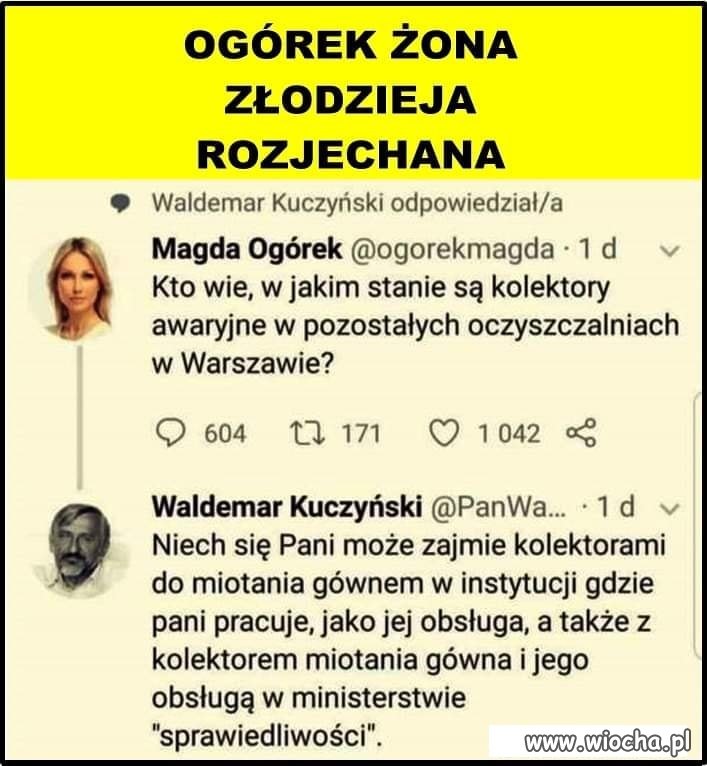 No i znowu wyszła ... mizeria intelektualna 