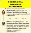 No i znowu wyszła ... mizeria intelektualna 