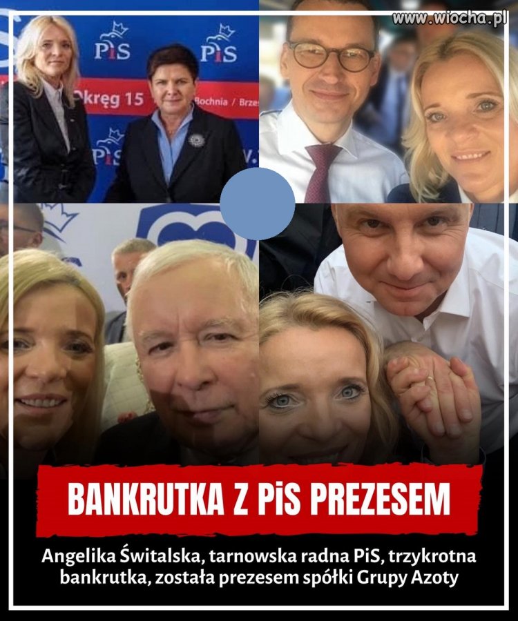 Specjalistka od bankructw. Najlepsze kadry PiS ...