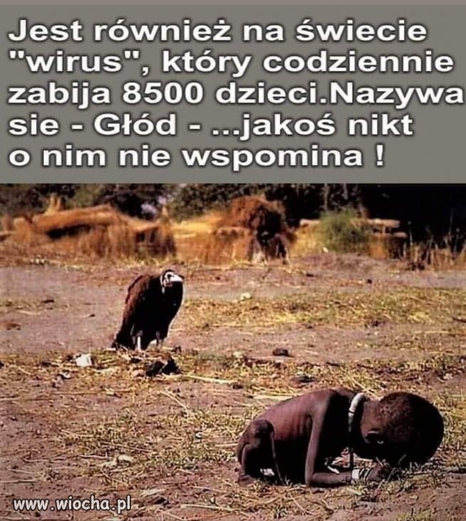 Wirus