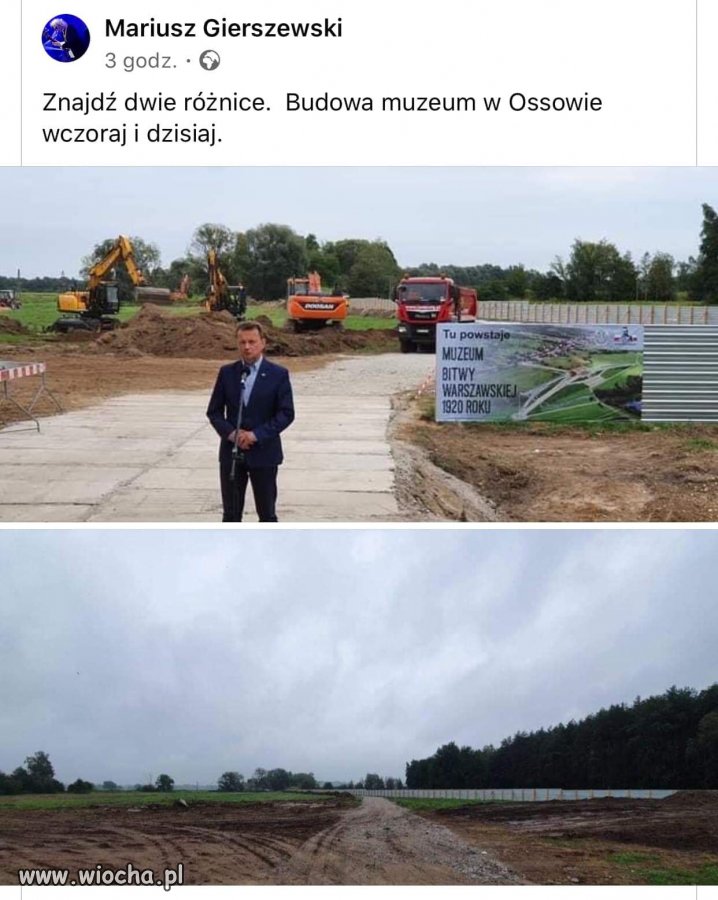 Bareja wiecznie żywy. 