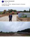 Bareja wiecznie żywy. 