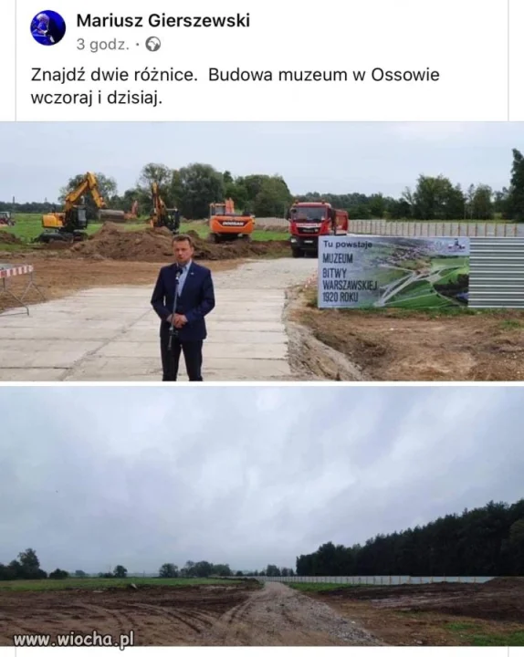 Bareja wiecznie żywy. 