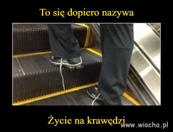 KAMIKADZE 