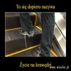 KAMIKADZE 