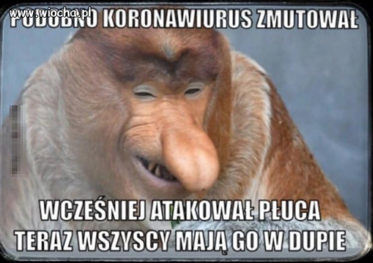 Koronaświrus