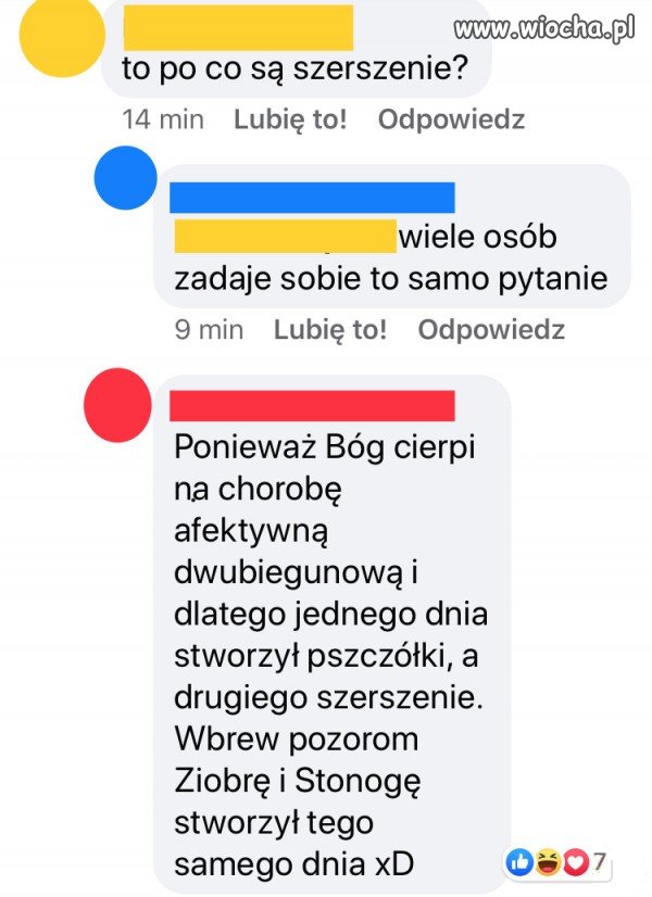 Stonoga ty k***o j***a...