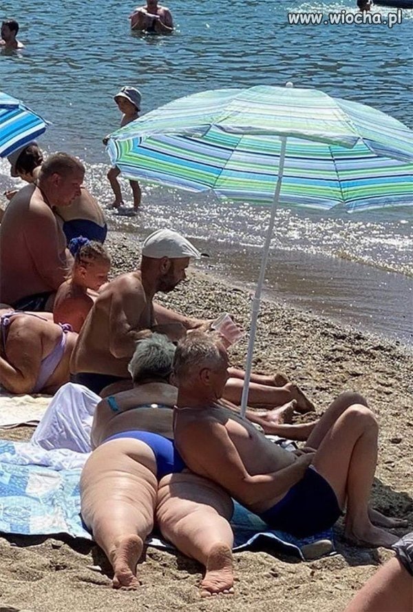 Pamiętaj żeby chronić wieloryby...