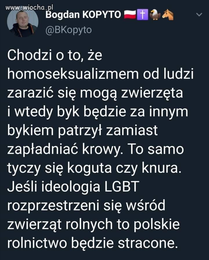 Co to musi się