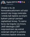 Co to musi się