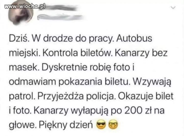 Covid vs kanary